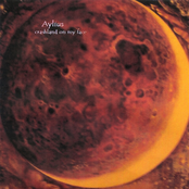 Crashland On My Face