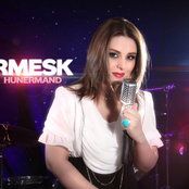 firmesk