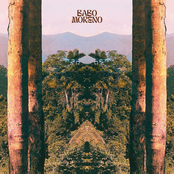 Bicho Preguiça (The Sloth)