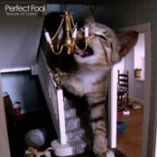 Perfect Fool