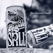 Still Flat by Built To Spill