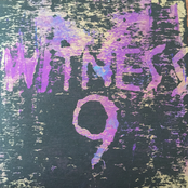 witness 9