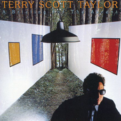 Changeless by Terry Scott Taylor