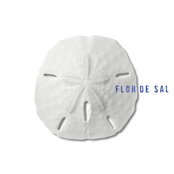 Flor de Sal