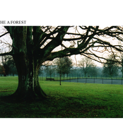 The A Forest [LP Sampler]