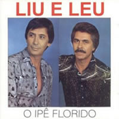 O Ipê Florido