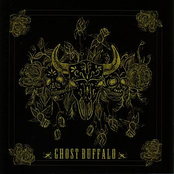 Stay by Ghost Buffalo