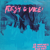 Baby Of My Mind by Flesh D-vice