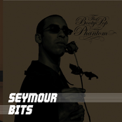 Better Late Than Never by Seymour Bits