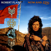 The Way I Feel by Robert Plant