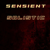Solistic