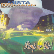 Pimp Or Die