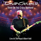 Shine On You Crazy Diamond (Parts 1-9)