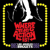 Where The Action Is! Los Angeles Nuggets: 1965-1968
