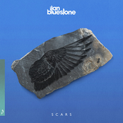 Ilan Bluestone: Scars