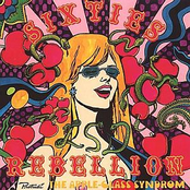 Sixties Rebellion Vol 15