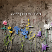 Jazz på svenska
