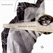 Broken Wings