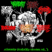 slamming brutality session vol. 2