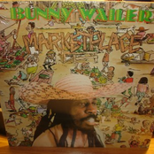 Tear In Your Eyes by Bunny Wailer