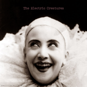 The Electric Creatures