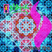 Internal Fire