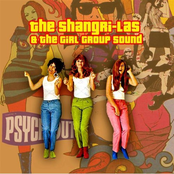 The Shangri-Las & The '60s Girl Group Garage Sound