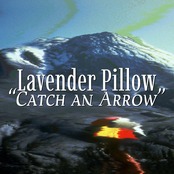 Catch an Arrow