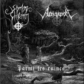 Parmi Les Ruines... (Split)