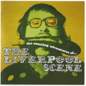 Amazing Adventures Of The Liverpool Scene