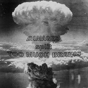 Damages split Too Much Brains