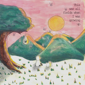 This was all fields when I was growing up