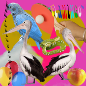 Flamingo - Single