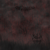 Void Stipulation