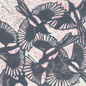 Everything We Hold In Hope