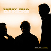 Galicia (zero Db Remix) by Trüby Trio