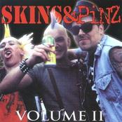 Skins And Pinz, Vol. 2