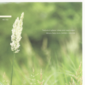 Texture in Glass Tubes and Reed Organ