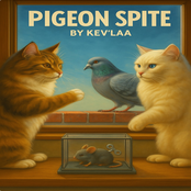 Pigeon Spite