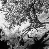 Rhythmic Reciprocity