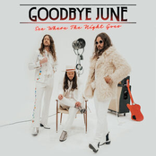 Goodbye June: See Where the Night Goes