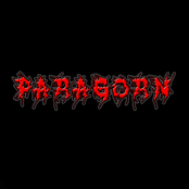 Paragorn