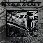 msbr & salt