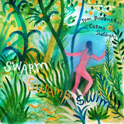 Swarm Swamp Swim (single)