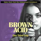 Brown Acid "The Third Trip"