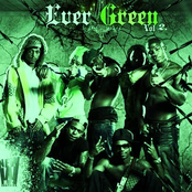Evergreen Mixtape Volume 2