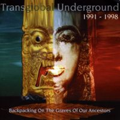 Chariots (radio Edit) by Transglobal Underground