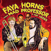 faya horns