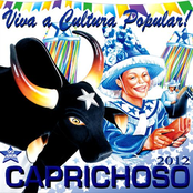 Caprichoso 2012 - Viva a Cultura Popular