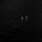 Modern Studies About Dramatic Animals & Dream States